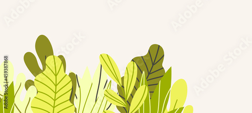 Floral web banner with drawn color exotic leaves. Nature concept design. Modern floral compositions with summer branches. Vector illustration on the theme of ecology, natura, environment