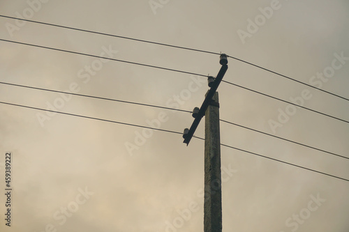 Wallpaper Mural power lines and sky background Torontodigital.ca