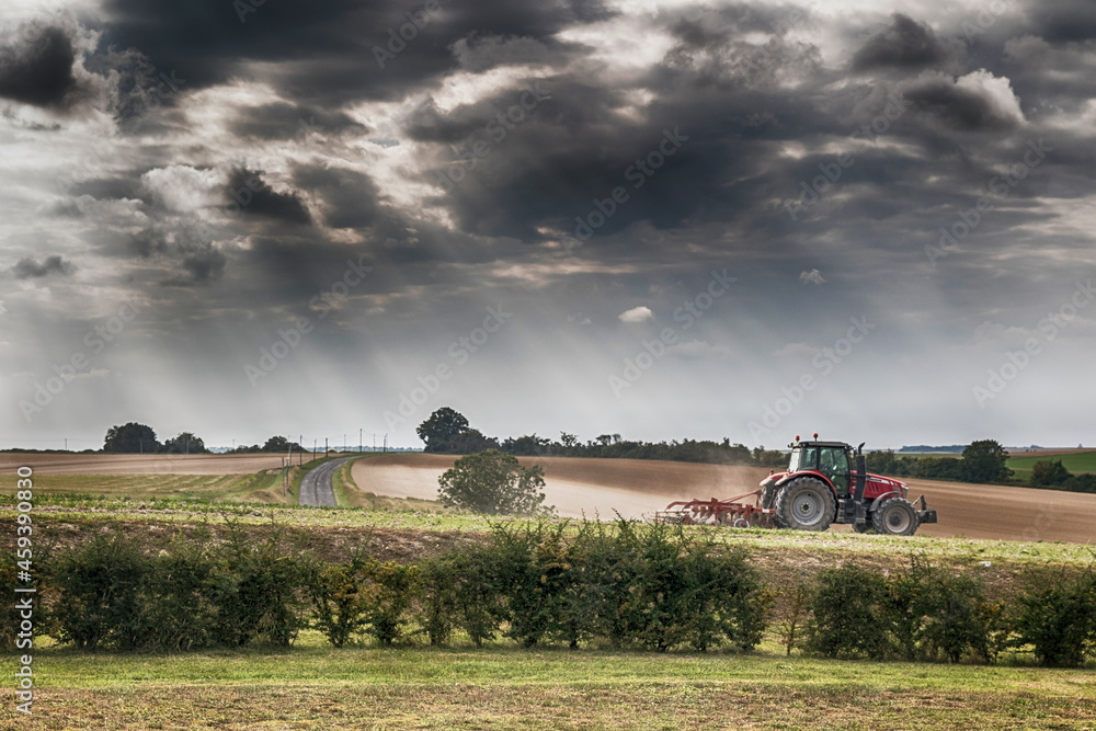 Fototapeta premium tractor in field