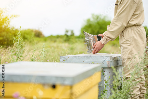 Beekeeper working at his apiary photo