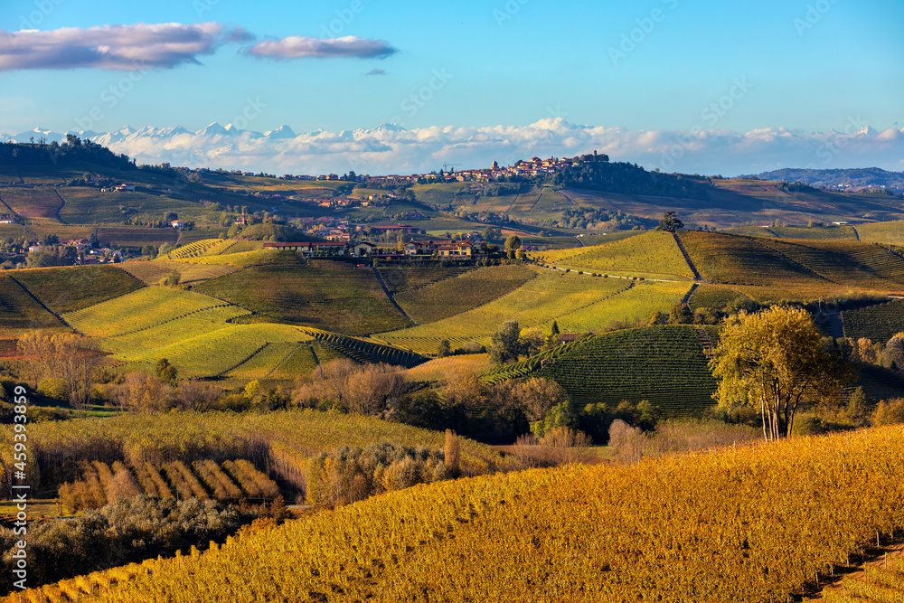 Hills and vineyards of Langhe, Italy in autumn.