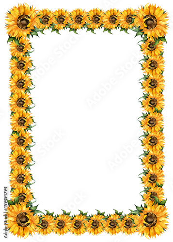 Sunflowers watercolor painting rectangular frame. Autumn frame, thanksgiving, harvest festival, yellow flowers. Botanical border isolated on white background. Drawn by hand.