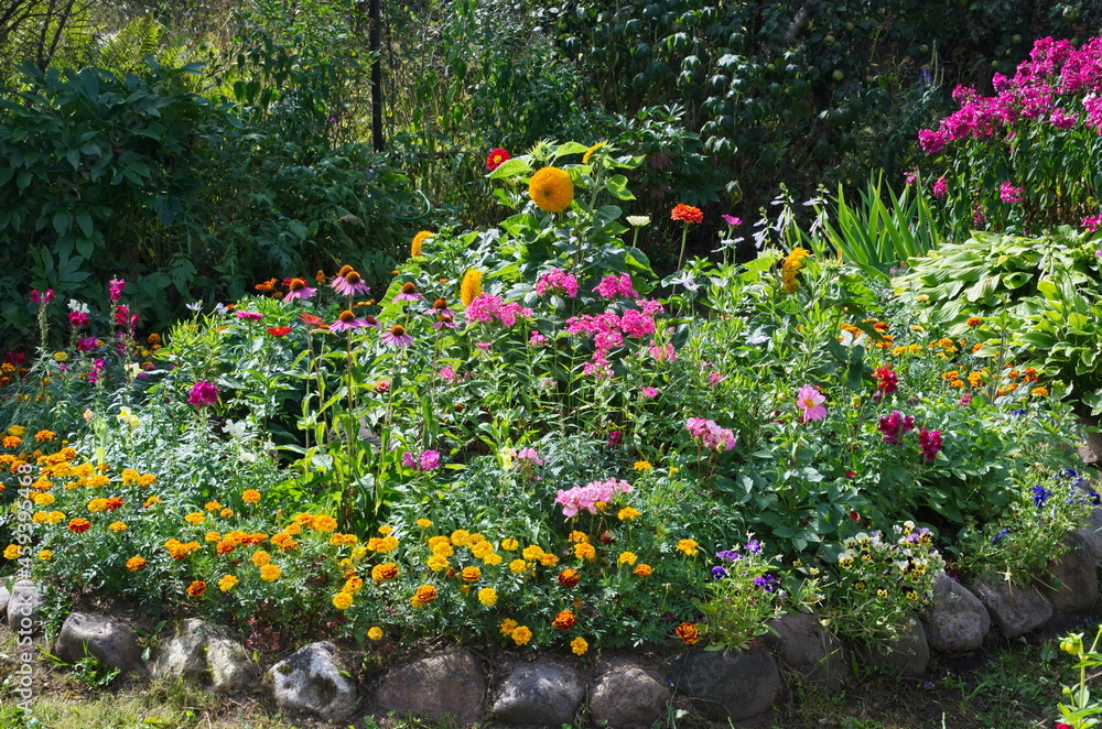 Bright decorative garden flowers on a flower bed in the garden Bright decorative garden flowers on a flower bed in the garden
