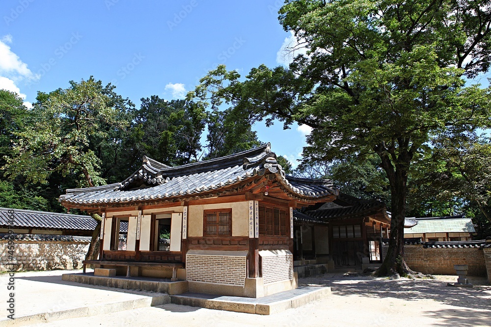 한국의왕실창덕궁후원입니다