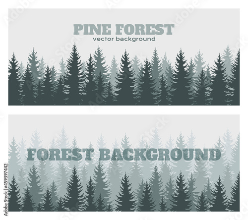 Abstract horizontal banner template with coniferous forest. Spruce evergreen tree isolated on a light background. Postcard, poster, business card, recreation in the forest, tourism.Vector illustration