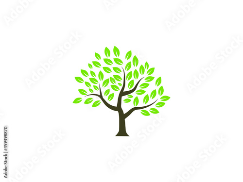  Abstract vibrant tree logo design, root vector - Tree of life logo design inspiration isolated on white background. photo