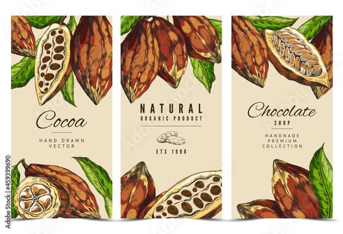 A set vector colorful labels with cacao beans on branches with leaves.