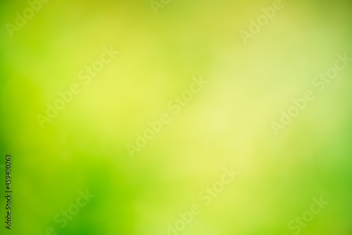 Beautiful nature abstract background with variants of green color.