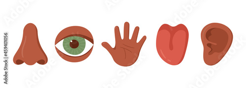 Five human senses organ set. African americans. Nose, ear, hand, tongue, eye. Sensory organs set. See, hear, feel, smell and taste. Vecor illustrations isolated on white background.