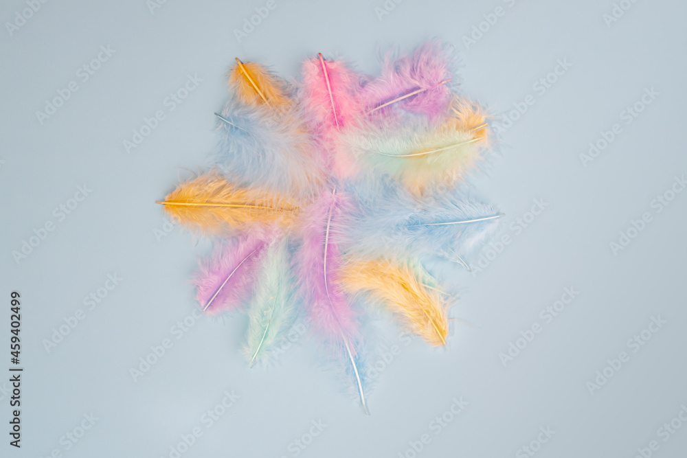 pastel colored feathers. Minimal natural flat lay top view on light blue background. Stylish minimalist concept