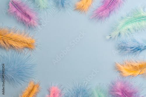 Frame boarder made of feathers on blue background. Backdrop for designers