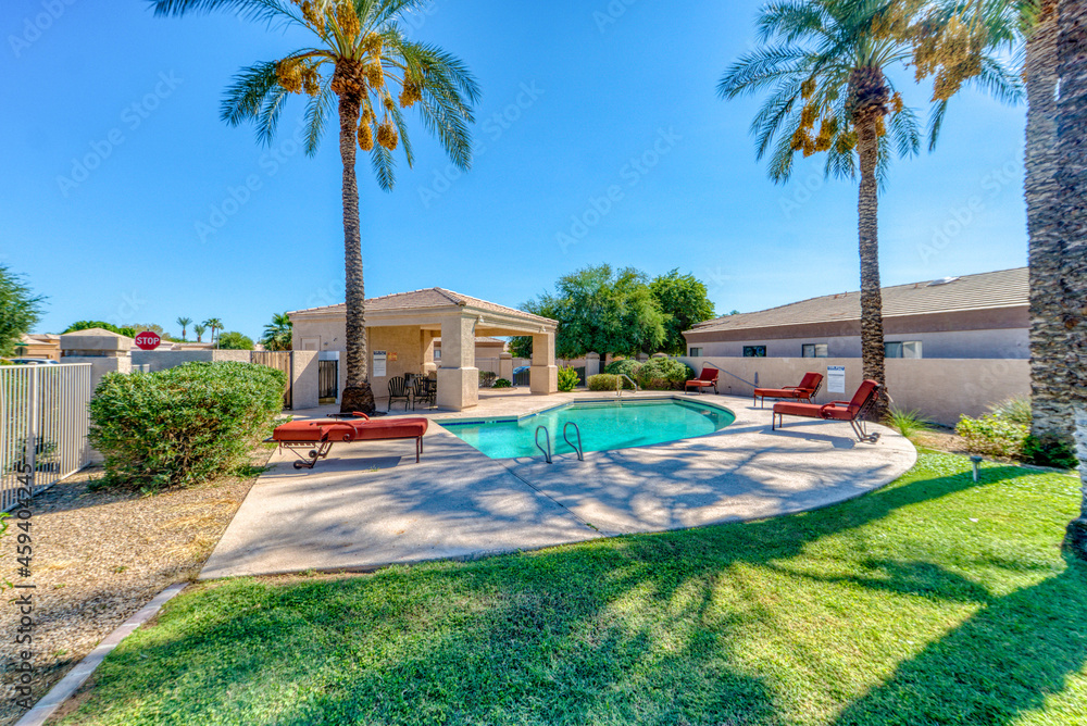 Fototapeta premium Phoenix Community pool
