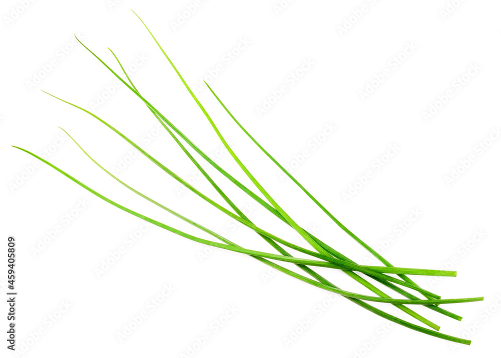 fresh chives isolated on white background, top view fresh chives isolated on white background, top view