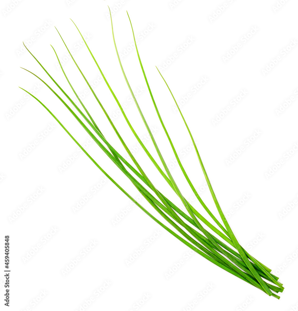 fresh chives isolated on white background, top view fresh chives isolated on white background, top view