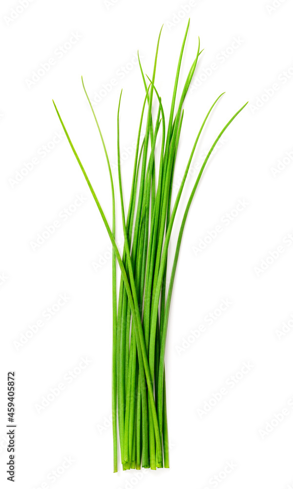 fresh chives isolated on white background, top view