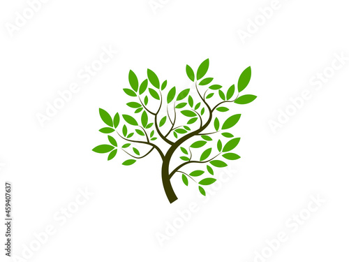 Twistree Logo Template. An illustration of two trunk twisting each other in a helix. Vector illustration nature tree..eps photo