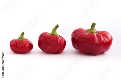 Three peppers growing isolated on white background