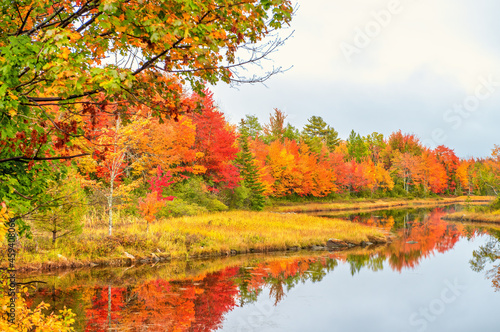 Jordan River foliage colors in Bar Harbor  Maine.