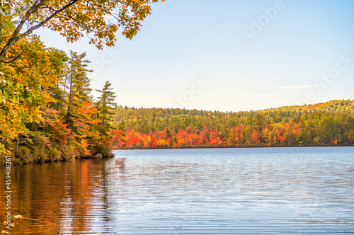 Amazing colors of New Hampshire Chocorua Lake during foliage season, USA. Panoramic view.