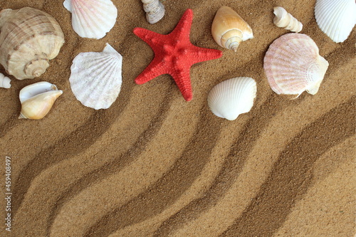  Travel theme. Seashells lie on the sand with space for text.