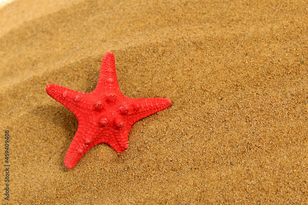 The red starfish lies on the sand. The red starfish lies on the sand.