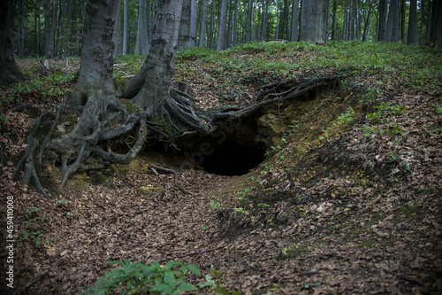 Krupniczka - stara sztolnia galmanu