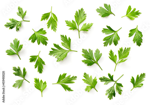 Fotografija fresh flat parsley isolated on white background, top view