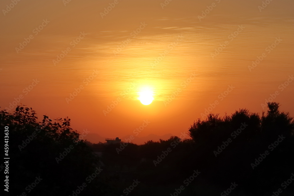 Photograph of a sunrise in which the bright full sun has entered the sky beyond the hillside and silhouette wild tree