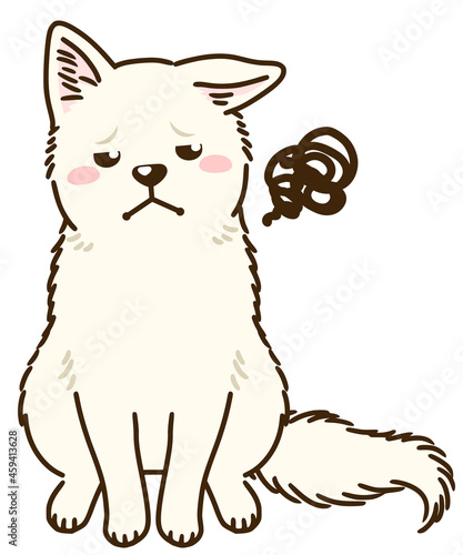 目を逸らす白柴