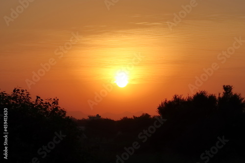 Photograph of a sunrise in which the bright full sun has entered the sky beyond the hillside and silhouette wild tree