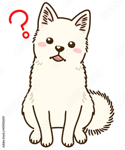 疑問に思う白柴