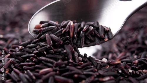 Dry black rice grains. Spooning. Macro. Falling seeds in slow motion