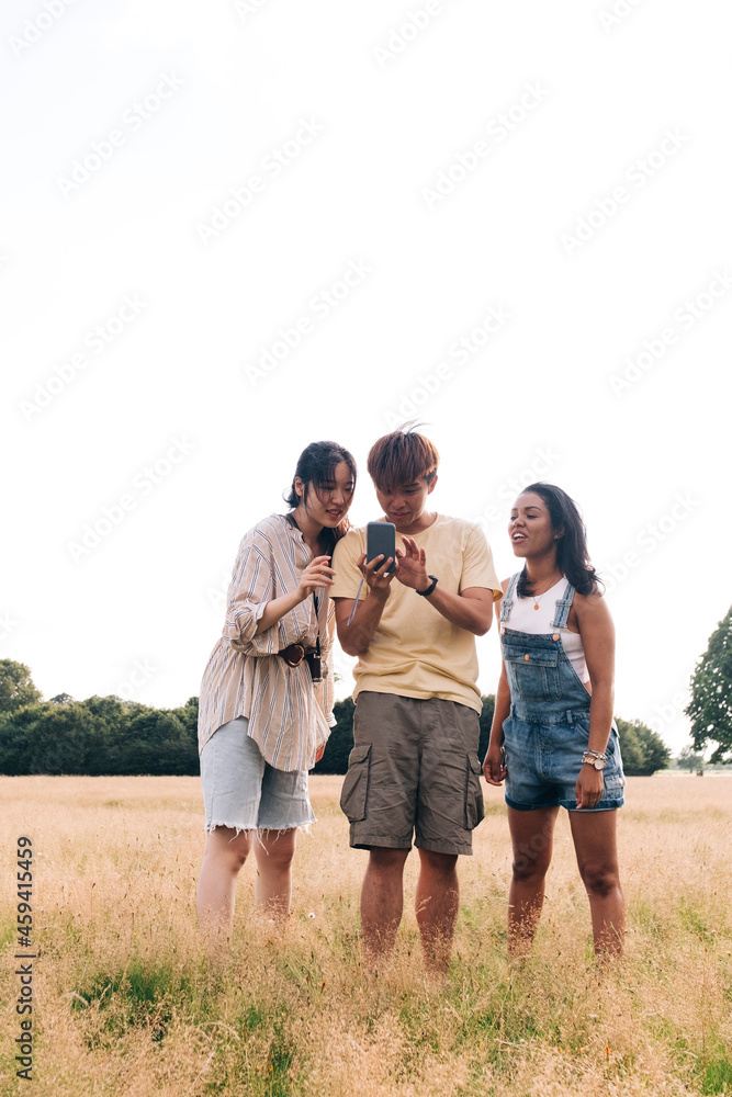 Friends checking mobile phone while standing on meadow Friends checking mobile phone while standing on meadow