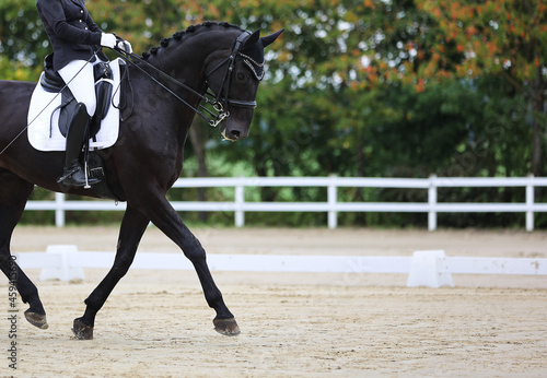 Black dressage horse with rider in a test, close-up at shoulder height, horse in the cut to the left..