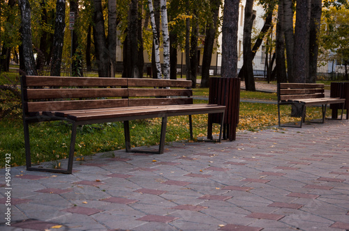Wooden bench in the park among the trees