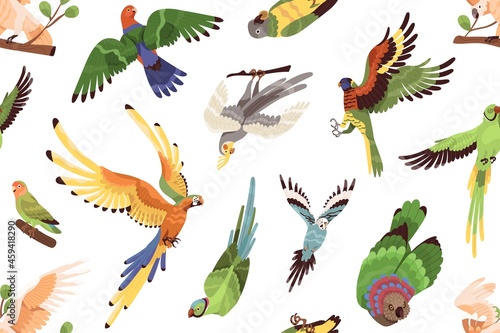 Parrots pattern. Seamless tropical background with exotic jungle birds. Endless repeating print with different ara, macaws and parakeets flying. Repeatable texture. Colored flat vector illustration