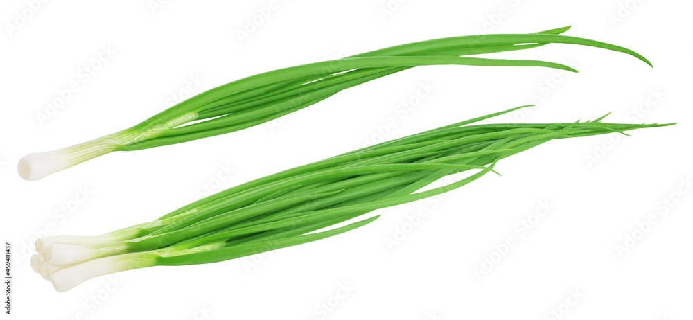 Set of a fresh green onion isolated on white background.