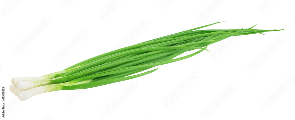 Heap of fresh green onion isolated on white background. Heap of fresh green onion isolated on white background.
