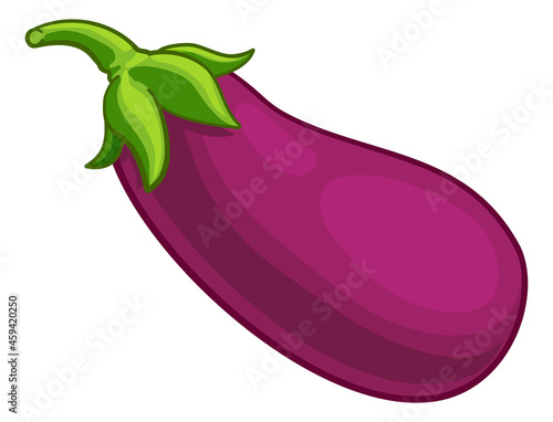 Eggplant Aubergine Vegetabl...