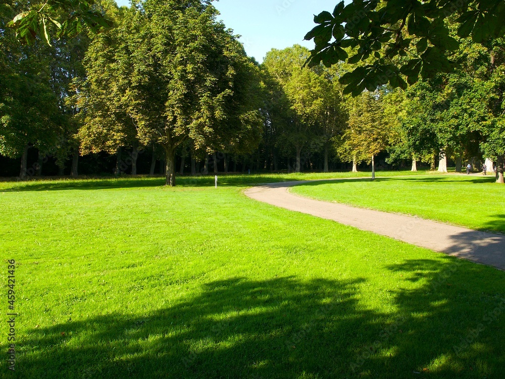 Fototapeta premium a beautiful green park Schlossgarten in Stuttgart on a sunny day, Germany