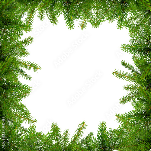 A square illustration with unadorned fir sprigs with empty space for copy, advertisement or text. Isolated fir twigs.