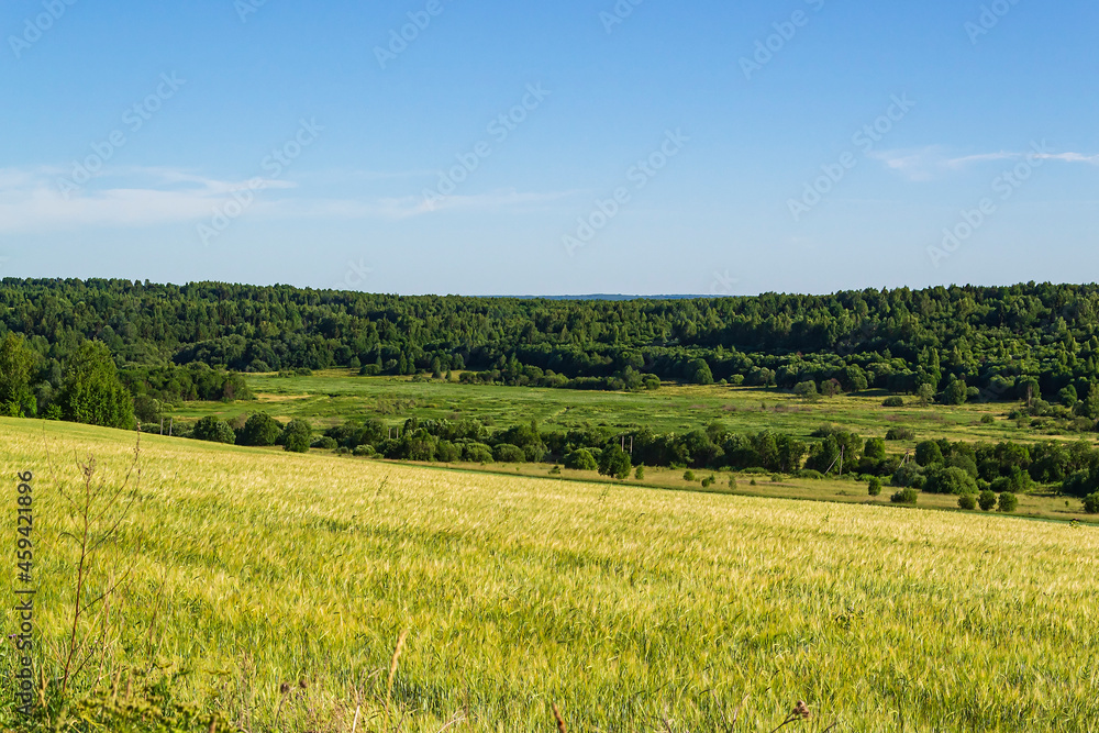 landscape wheat field