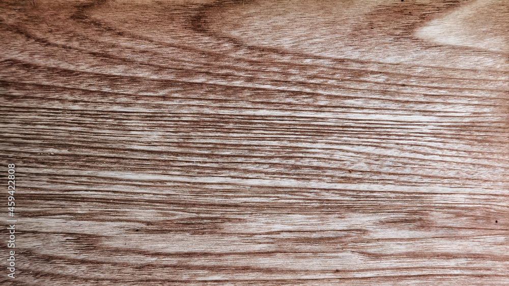 close up of wooden texture for background                                         