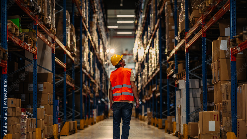 Fototapeta premium Warehouse worker oversees shelves with boxes