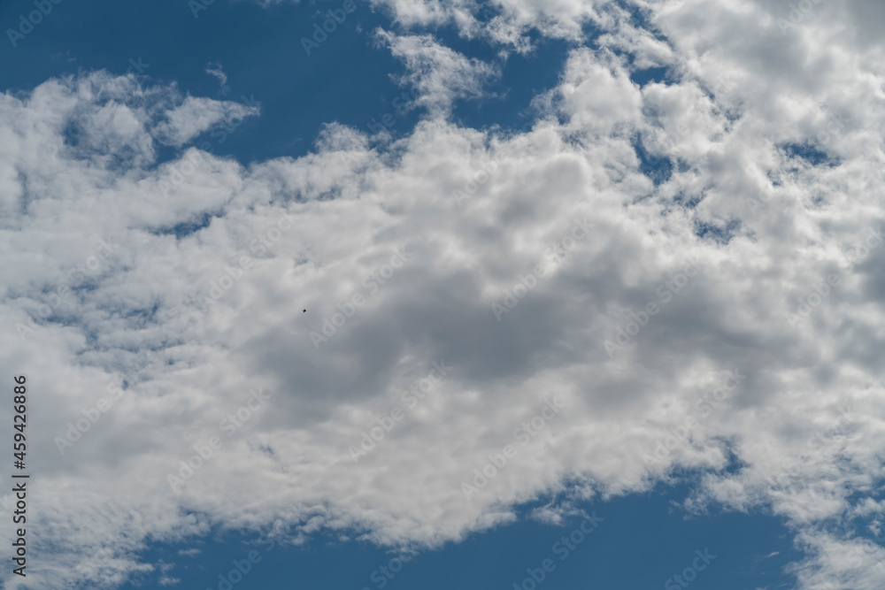 blue sky against a backdrop of intense white clouds and flying birds blue sky against a backdrop of intense white clouds and flying birds
