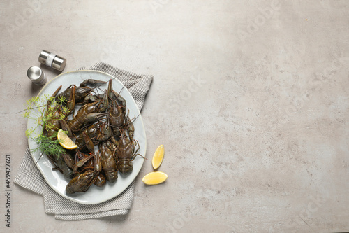 Fresh raw crayfishes with lemon and dill on light grey table, flat lay. Space for text photo