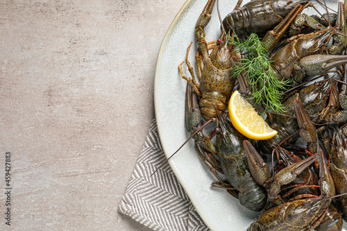 Fresh raw crayfishes with lemon and dill on light grey table, top view. Space for text photo