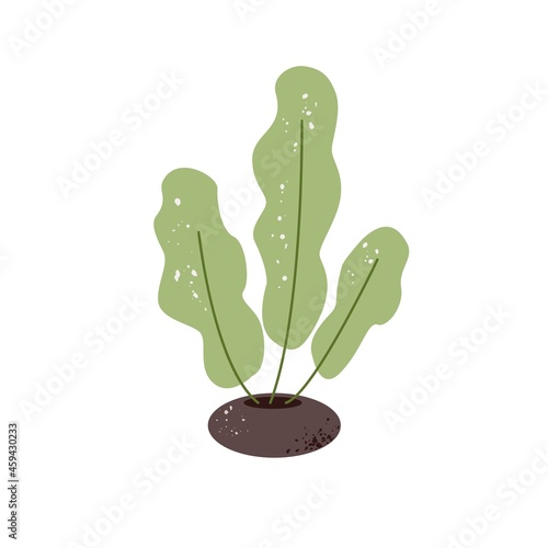 Green leaves of houseplant growing in pot. Fresh long leaf of home plant. Interior foliage decor. Modern leafy indoor decoration in flowerpot. Flat vector illustration isolated on white background