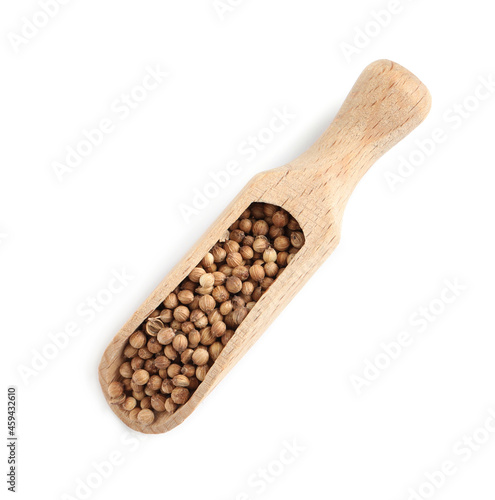 Dried coriander seeds with wooden scoop on white background, top view