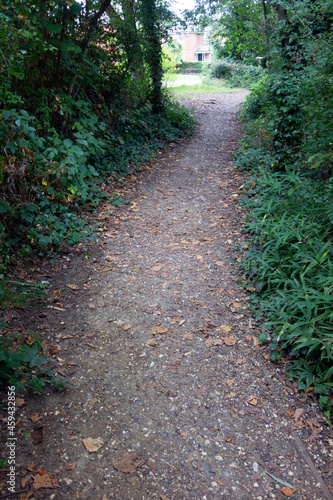 A Gentle Woodland Walk in the Countryside Path